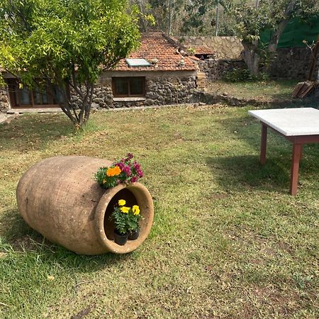 Rural House To Take A Break, La Serreria 25 - Private Garden تاكورونتي المظهر الخارجي الصورة