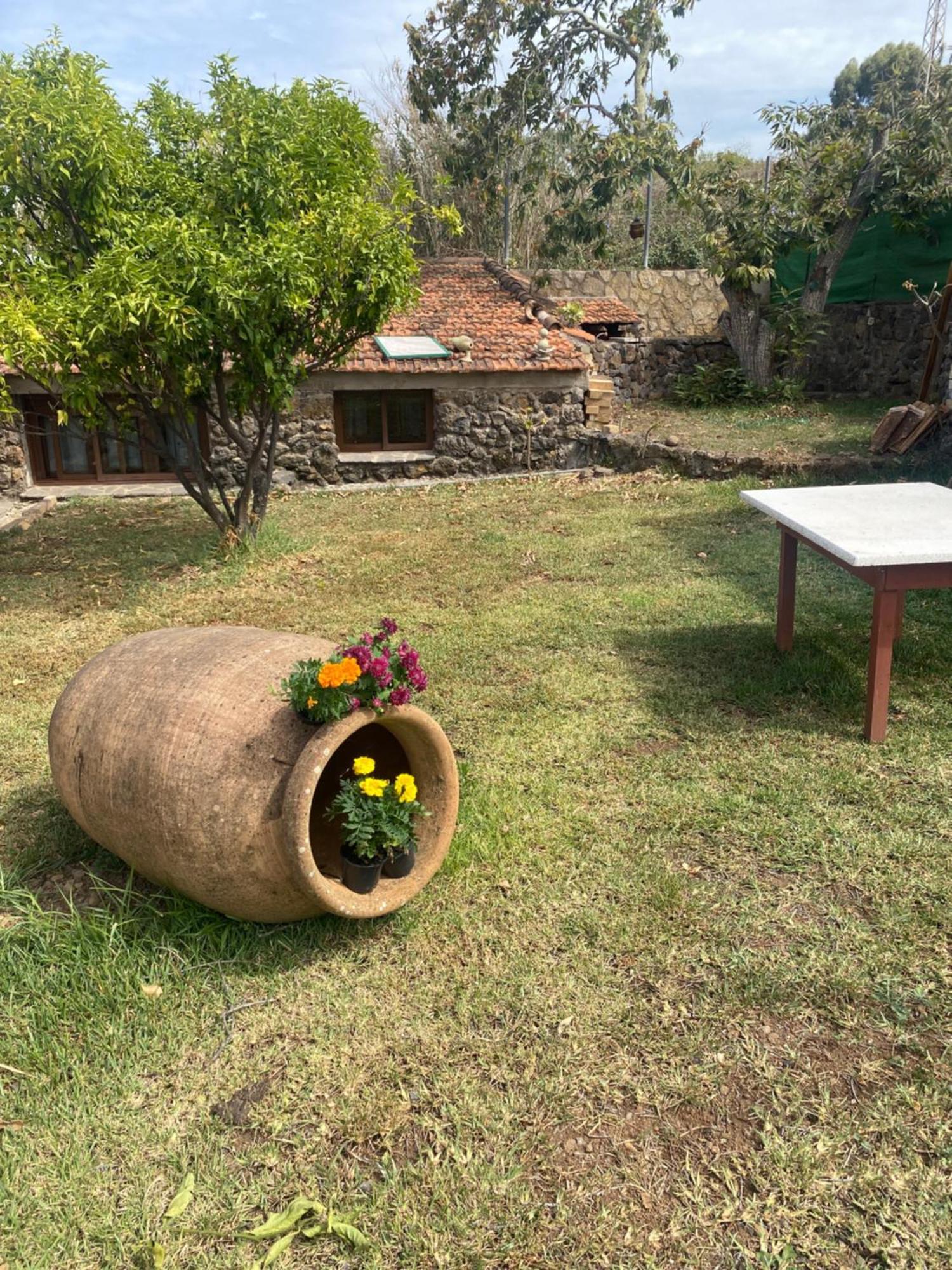 Rural House To Take A Break, La Serreria 25 - Private Garden تاكورونتي المظهر الخارجي الصورة