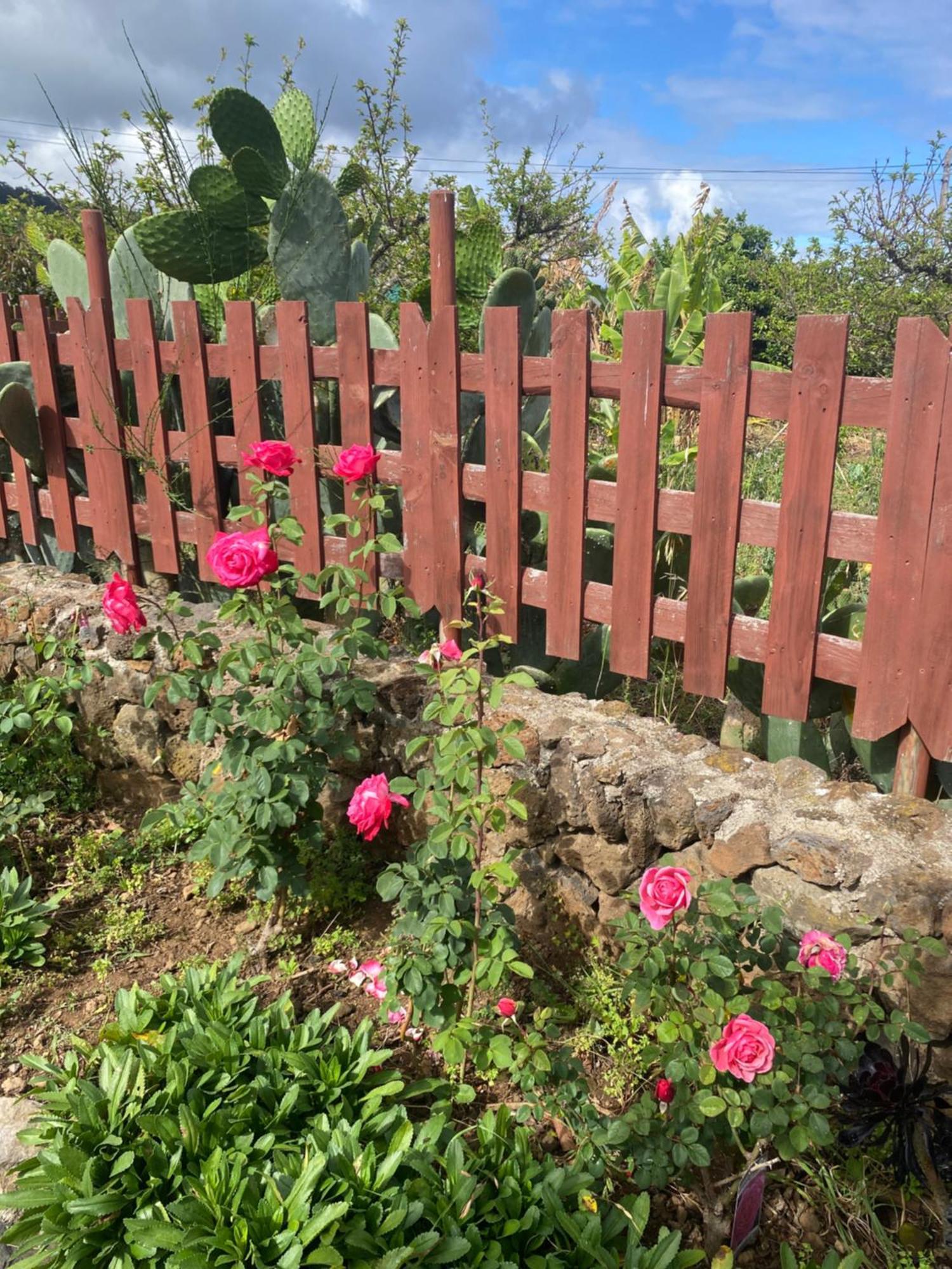 Rural House To Take A Break, La Serreria 25 - Private Garden تاكورونتي المظهر الخارجي الصورة