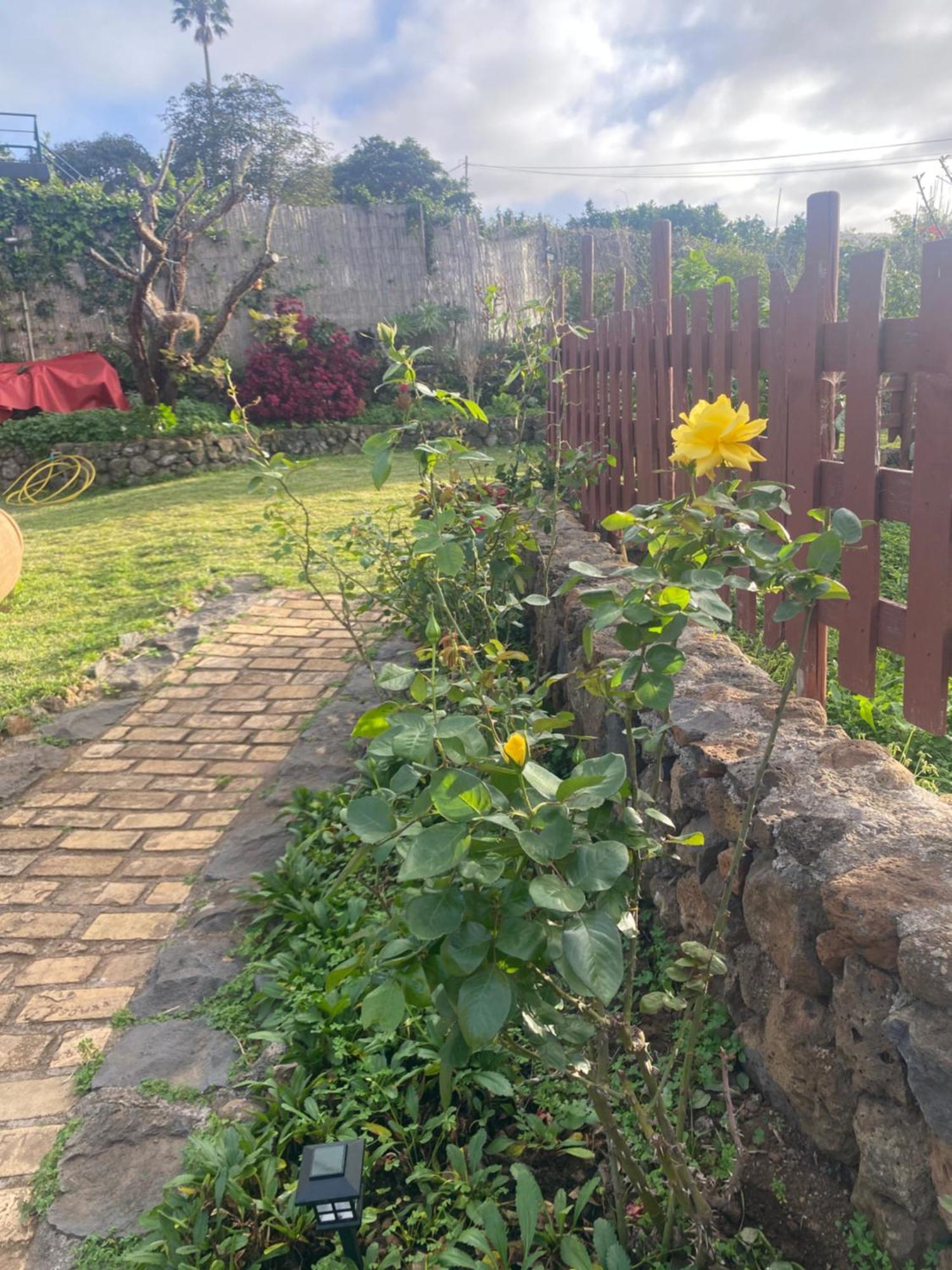 Rural House To Take A Break, La Serreria 25 - Private Garden تاكورونتي المظهر الخارجي الصورة