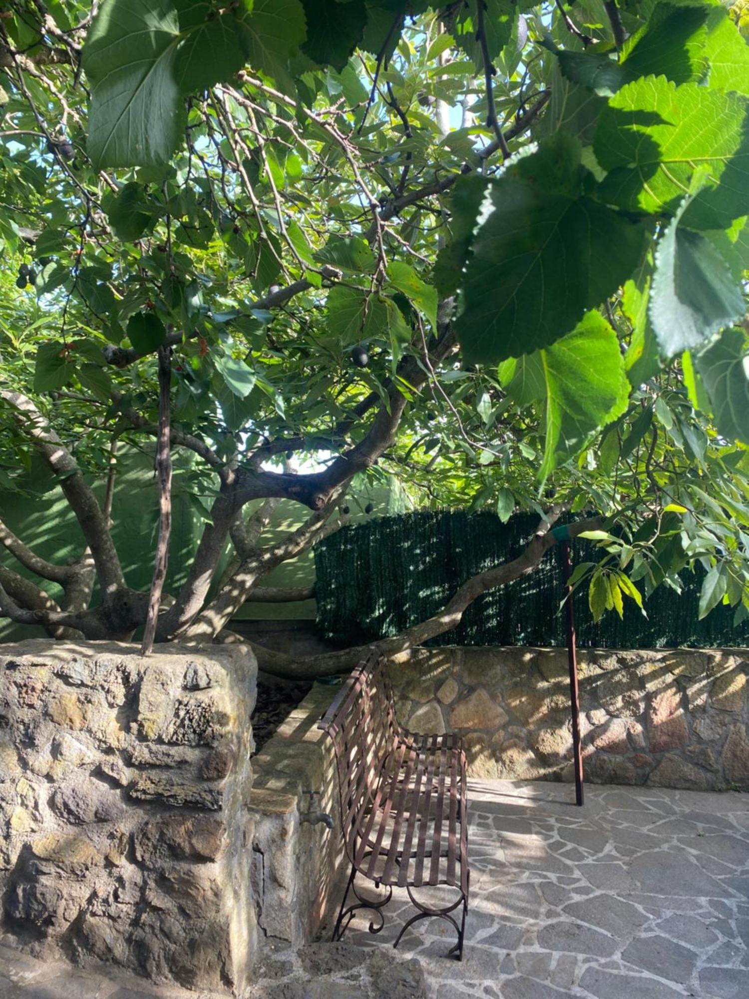 Rural House To Take A Break, La Serreria 25 - Private Garden تاكورونتي المظهر الخارجي الصورة